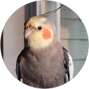 Syd Finn profile picture